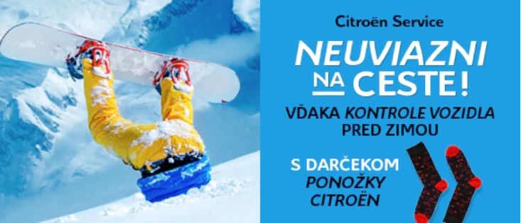 citroen servis